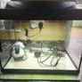 Tetra 28L tank Image 4