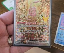 mew SIR 30th anniversary