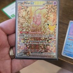 mew SIR 30th anniversary