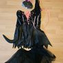 Halloween Costume - Sexy Cat Image 2