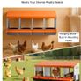 4 Compartment Chicken Nesting Box with Support Legs Roll Away Egg Collection Image 5
