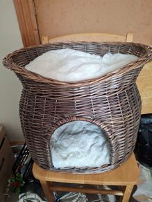 cat basket