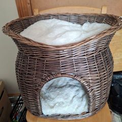 cat basket