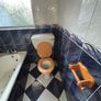 bathroom Image 3