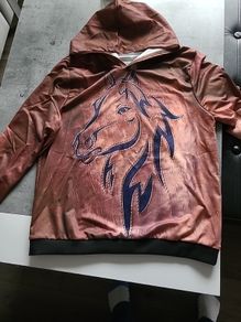 hoodie with horse picture