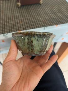 bonsai pot