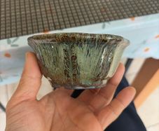 bonsai pot