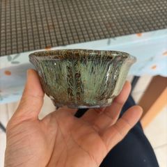 bonsai pot