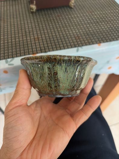 bonsai pot