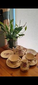 Carrigaline Cherry blossom teaset