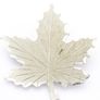 Maple Leaf Sterling Silver Brooch Image 2