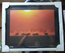 National Geographic Framed Print