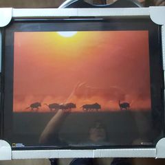 National Geographic Framed Print