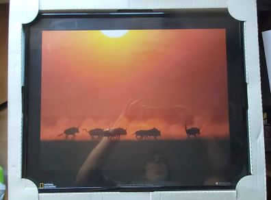 National Geographic Framed Print