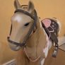 Horse our Generation Image 5