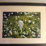 John lennon framed print watching the grass grow NIC 2010 limited edition 3 /500 42.5 x 33 cm. Image 7