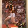 Henry Shefflin The Autobiography - Kilkenny GAA Hurling Image 2