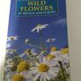 Fact Book (x4) about Insects, Wild Flowers, Trees and the Night Sky Image 3