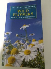 Wild Flowers of Britain and Europe