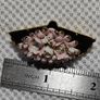 Porcelain brooch Image 4