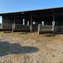 Diagonal cattle barriers Image 4