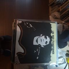 Lou Reed Transformer