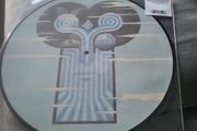 Tha Chameleons what does anything mean basically picture disc vinyl