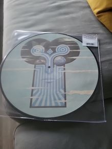 Tha Chameleons what does anything mean basically picture disc vinyl