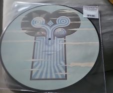 Tha Chameleons what does anything mean basically picture disc vinyl