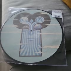 Tha Chameleons what does anything mean basically picture disc vinyl
