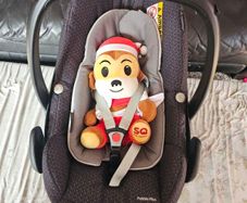 Maxi Cosi Pebble Plus Baby Car Seat and 2wayFix ISOFIX Base
