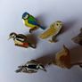 Eight Birds, Lapel Pin/Badges/Brooches Image 2