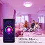 NEW SALE Smart LED Ceiling Light Dimmable, RGB Colour Changing Ceiling Light, App or Voice Control, IP54 Waterproof, 15W 1250lm, 2700K-6500K Tunable Image 3