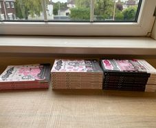 Isadora Moon Book Bundle
