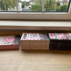 Isadora Moon Book Bundle