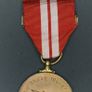 Naval Service, Emergency Medal Image 2
