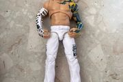 wwe Jeff Hardy figure