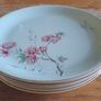 16 piece Alfred Meakin dinnerset Image 3