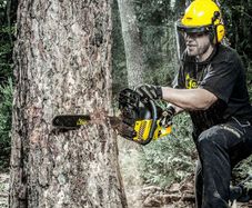 Chainsaws