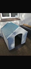 dog box