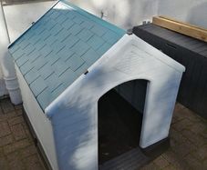 dog box