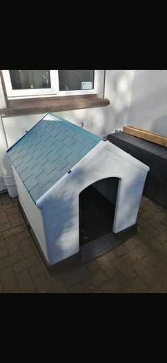 dog box