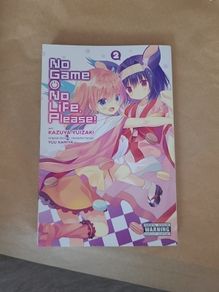 manga - no game no life please vol 2