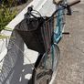 Barracuda Vintage Ladies Bike Image 10