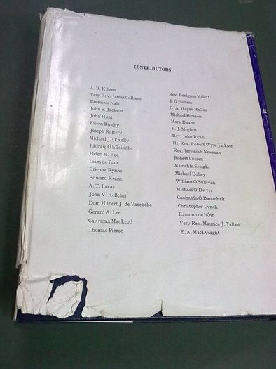 North Munster studies Limerick Tipperary Clare history archaeology