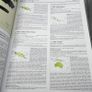 Handbook of the Birds of the World Vol 11 del Hoyo HC Lynx Edicions Ornithology Image 8