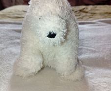 Retired jellycat wistful polar bear