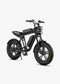 Engwe M20 Double Battery