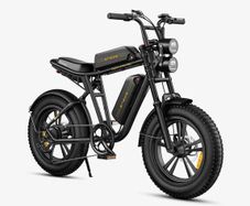 Engwe M20 Double Battery