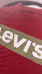Levi's Graphic T-shirt Reddish Corral And Olive